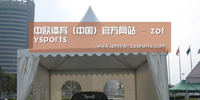 案例标题八