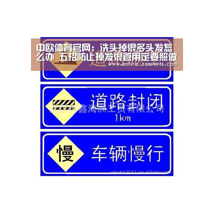 中欧体育官网:洗头掉很多头发怎么办 五招防止掉发很管用定要照做(图3) zoty体育