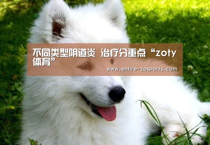 不同类型阴道炎 治疗分重点“zoty体育”